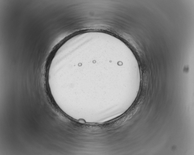 X0000116661071201001111245