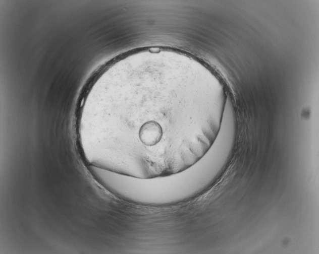 X0000116661072201001111245