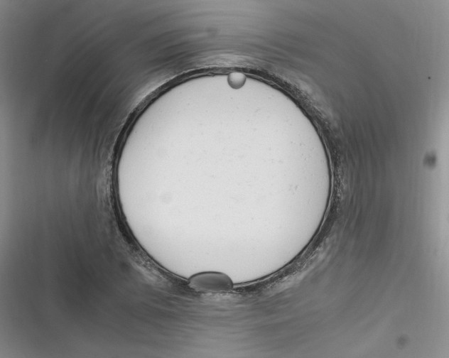 X0000116661073201001111245