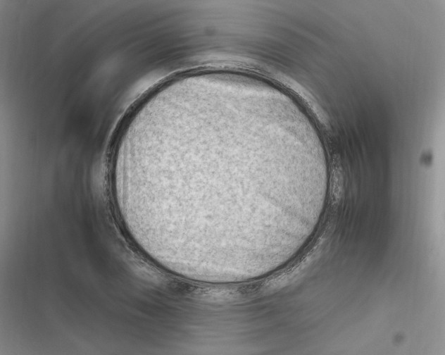 X0000116661074201001111245