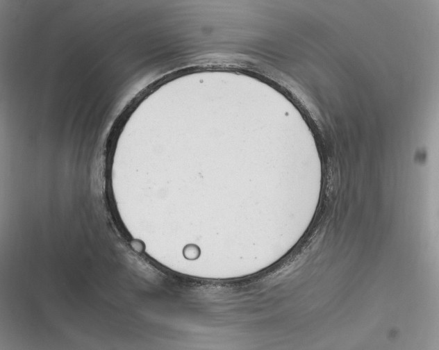 X0000116661075201001111245