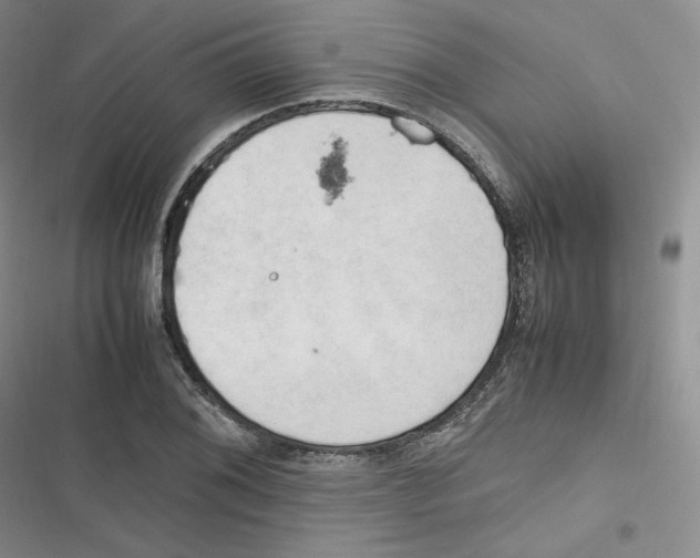 X0000116661076201001111245