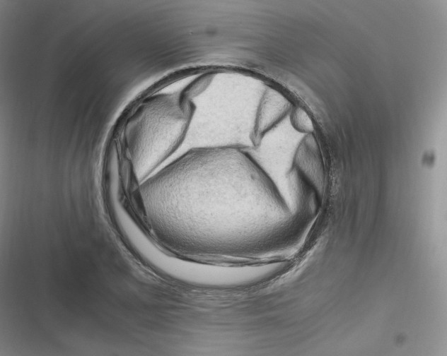 X0000116661077201001111245