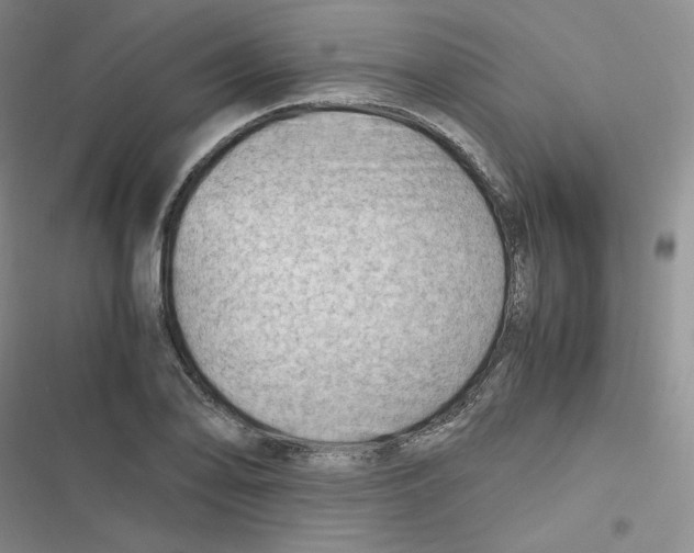 X0000116661078201001111245
