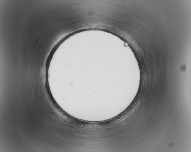 X0000116661079201001111245
