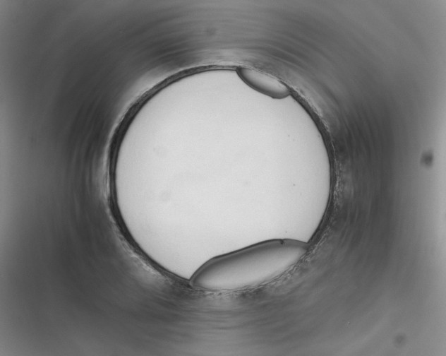 X0000116661080201001111245