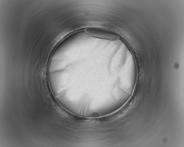 X0000116661081201001111245