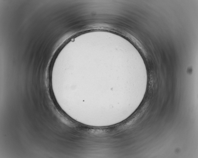 X0000116661082201001111245