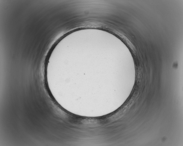 X0000116661083201001111245