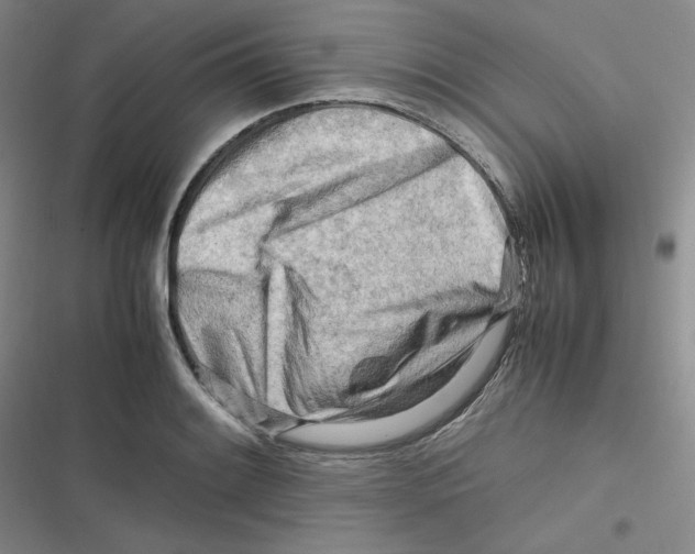 X0000116661084201001111245
