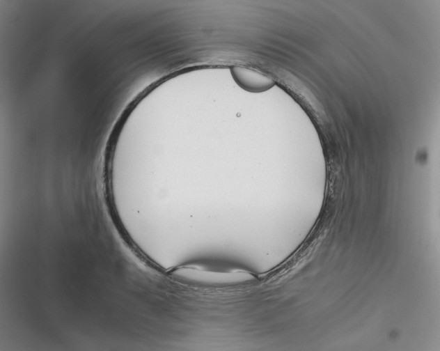 X0000116661087201001111245