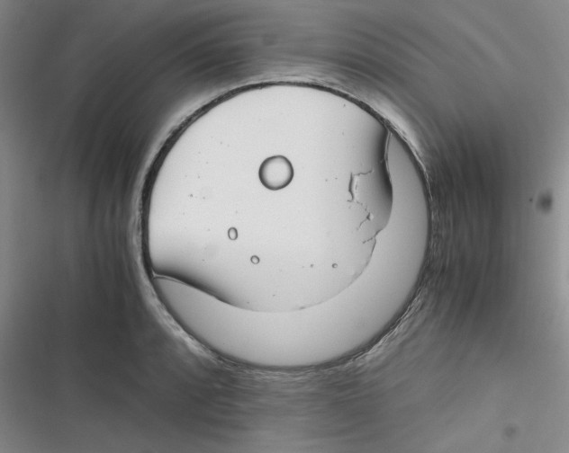 X0000116661088201001111245