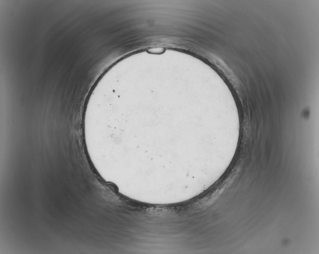X0000116661089201001111245