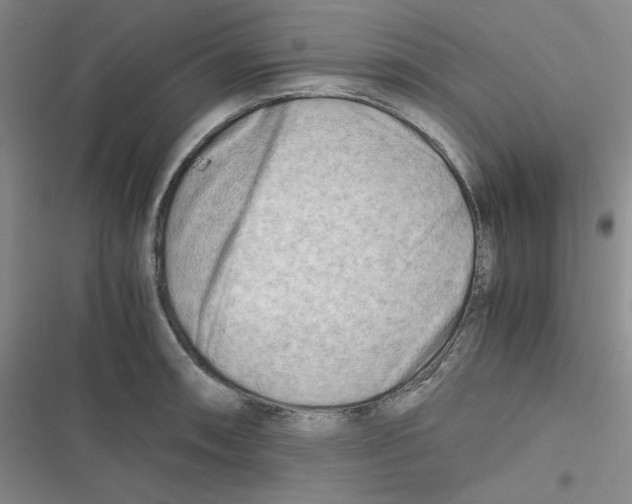 X0000116661090201001111245
