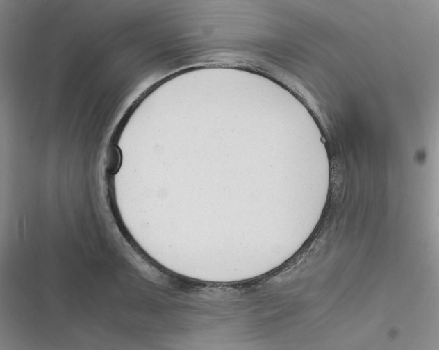 X0000116661091201001111245
