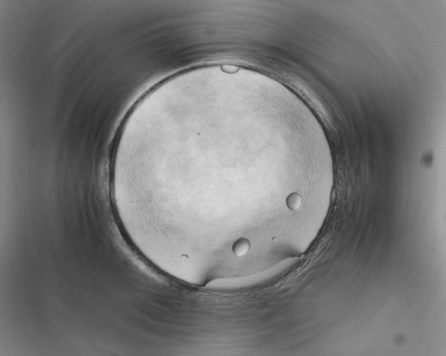 X0000116661092201001111245