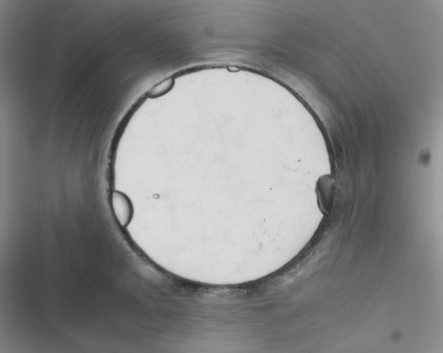 X0000116661093201001111245