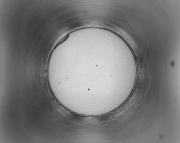 X0000116661097201001111245