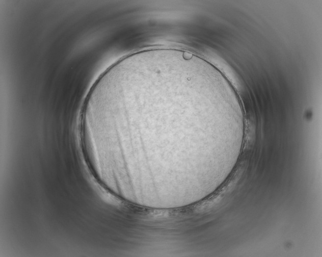X0000116661098201001111245