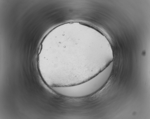 X0000116661100201001111245