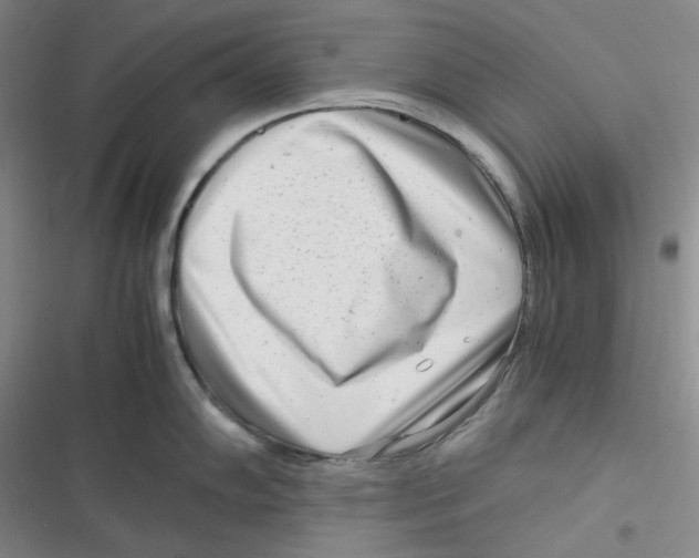 X0000116661102201001111245