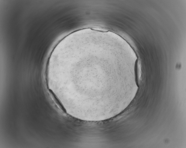X0000116661104201001111245
