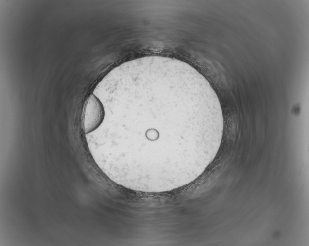 X0000116661105201001111244