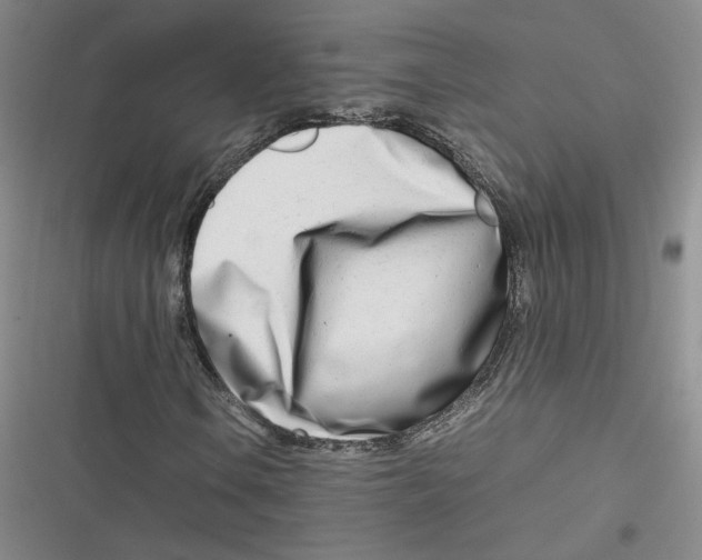 X0000116661106201001111244