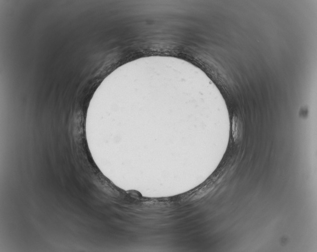 X0000116661107201001111244