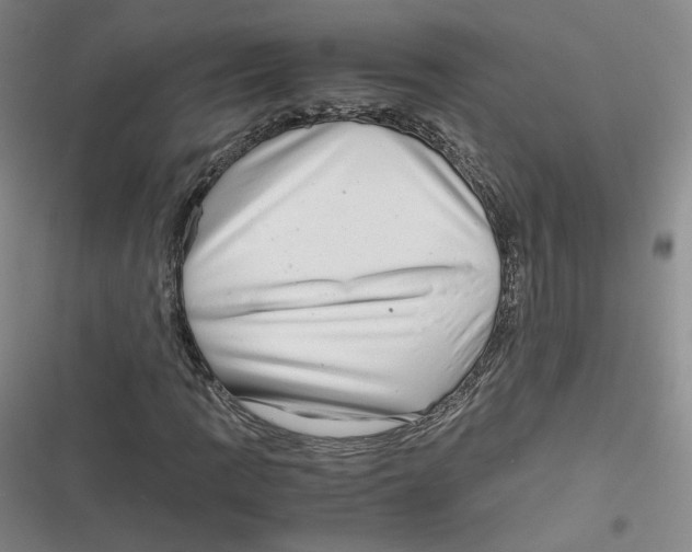 X0000116661109201001111244