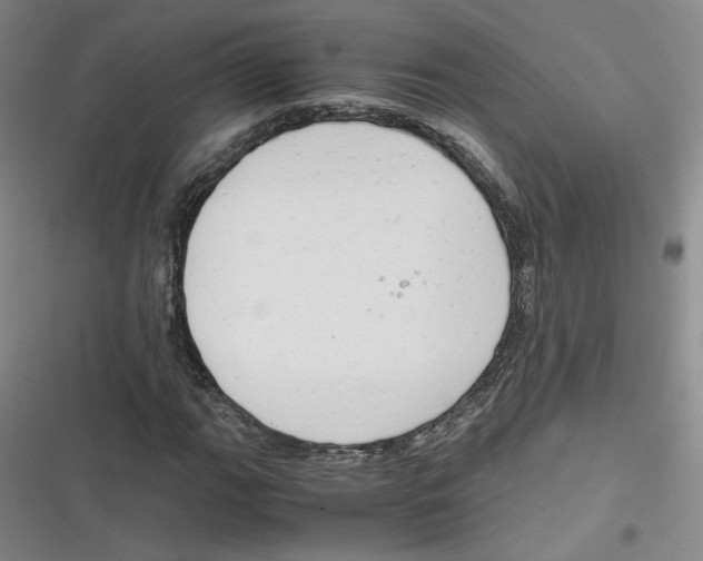 X0000116661111201001111244