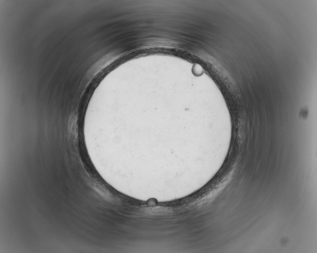 X0000116661113201001111244