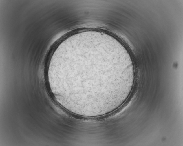 X0000116661114201001111244
