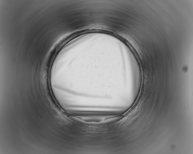 X0000116661115201001111244