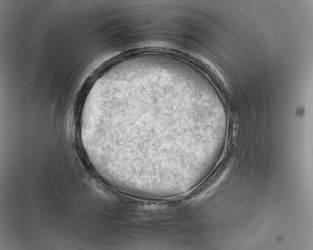 X0000116661117201001111244