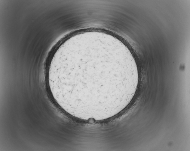 X0000116661118201001111244