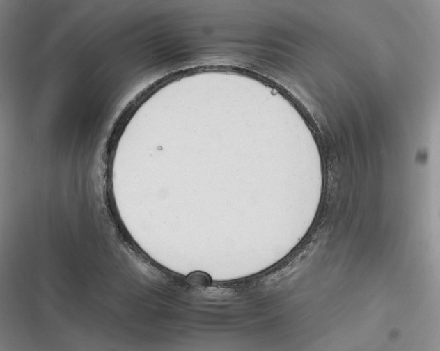 X0000116661119201001111244