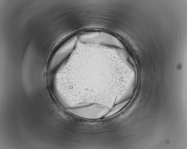 X0000116661121201001111244