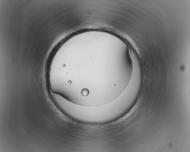 X0000116661122201001111244