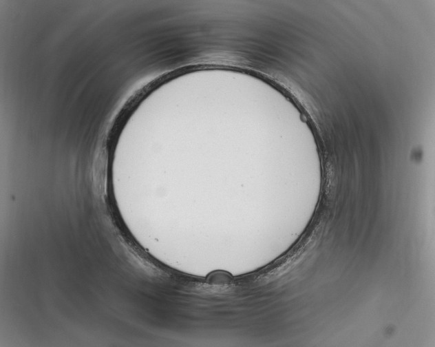X0000116661123201001111244