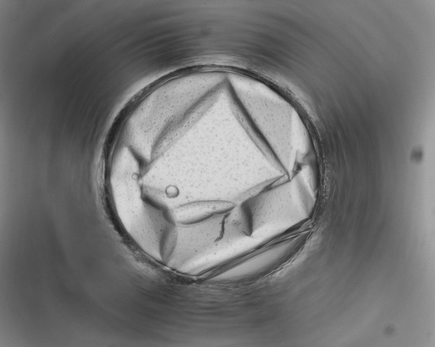 X0000116661125201001111244