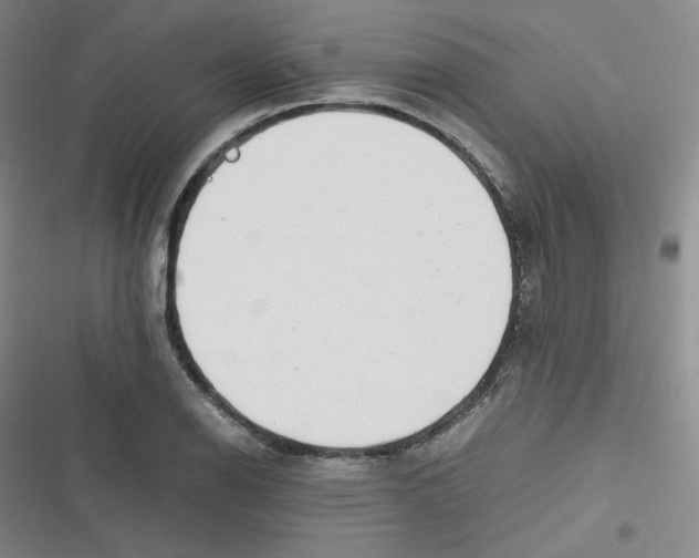 X0000116661126201001111244