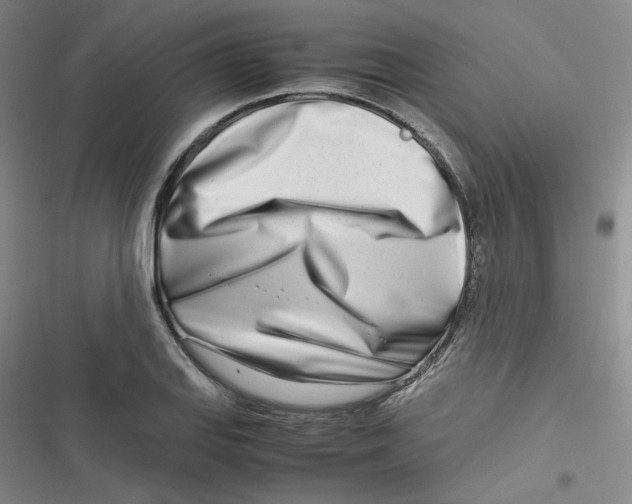 X0000116661127201001111244