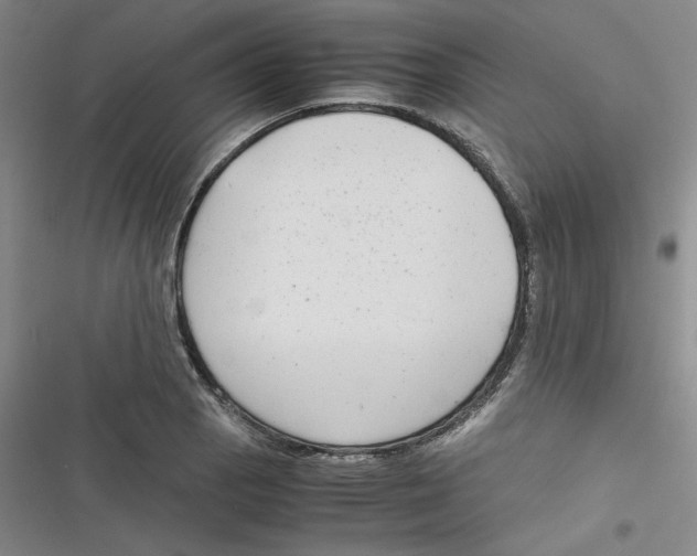 X0000116661129201001111244