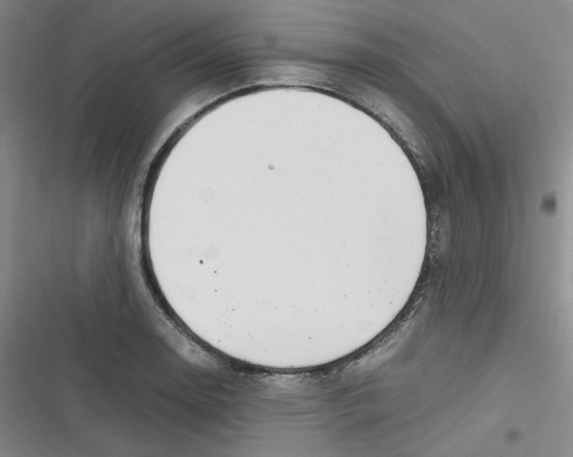 X0000116661130201001111244
