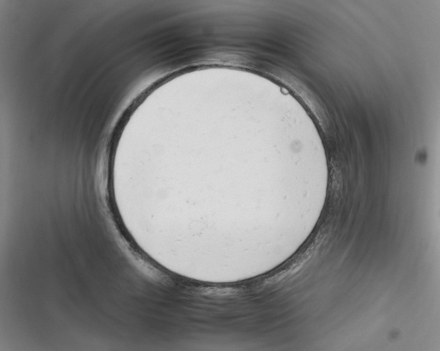 X0000116661131201001111244