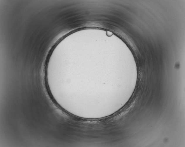 X0000116661133201001111244