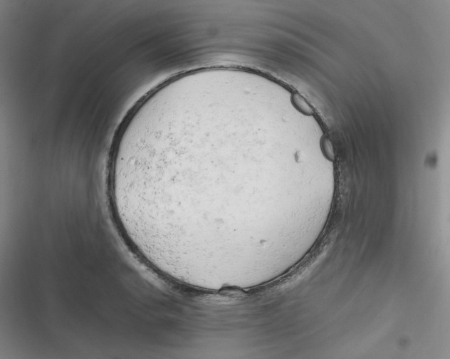 X0000116661134201001111244