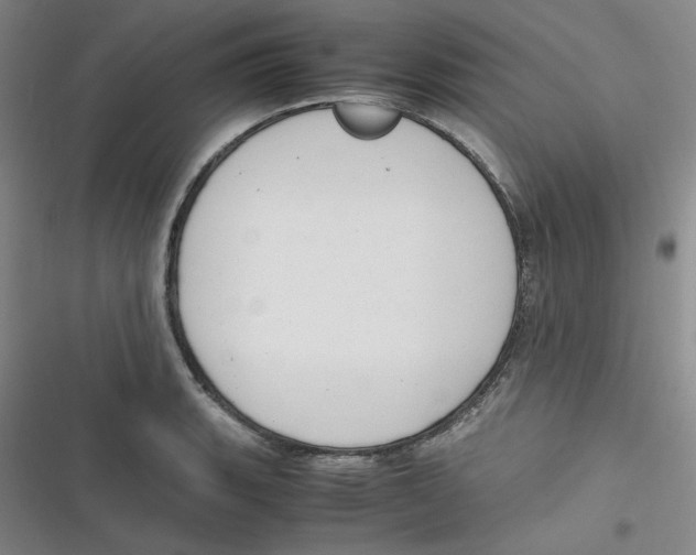 X0000116661135201001111244
