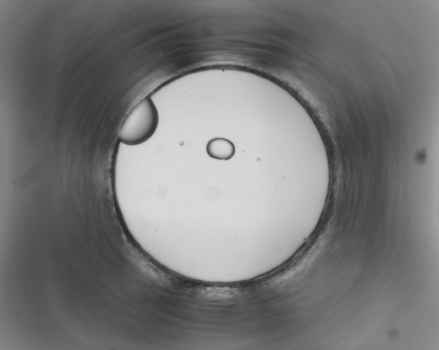X0000116661137201001111244
